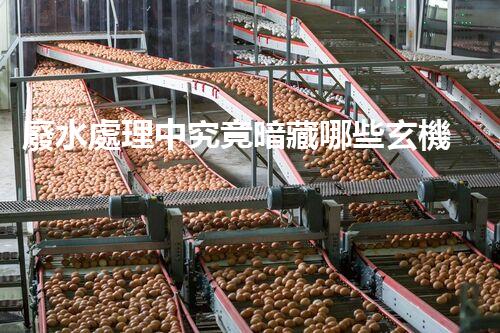 廢水處理中究竟暗藏哪些玄機(jī)？又該如何破解？